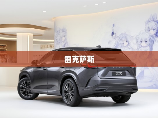雷克萨斯汽车工艺赏析，奢华雷克萨斯，品味非凡工艺细节