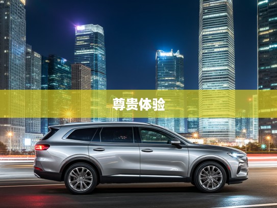 红旗H9 2025款匠心之作，传承经典，演绎新传奇的尊贵驾乘体验
