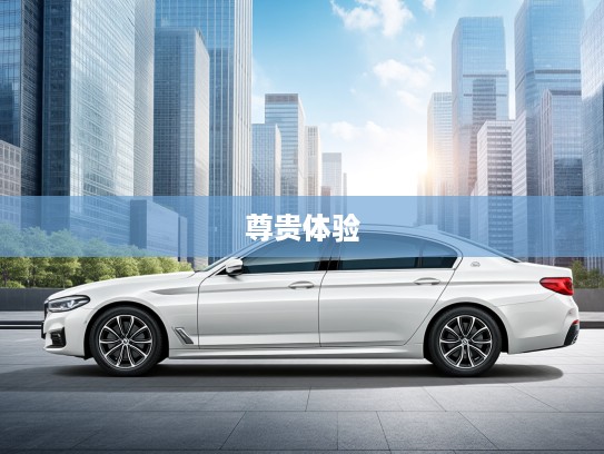 红旗H9 2025款匠心之作，传承经典，演绎新传奇的尊贵驾乘体验