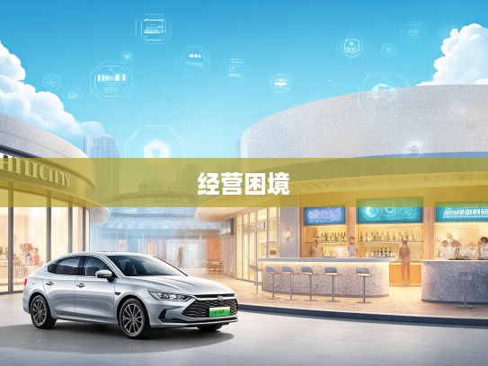 比亚迪汽车工业公司经营困境调查，揭秘变革之路上的挑战与转型之谜