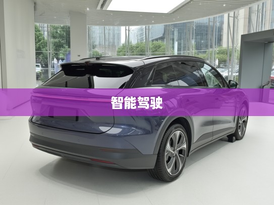 2025款蔚来ES6评测，智能驾驶先锋，引领绿色出行新潮流体验