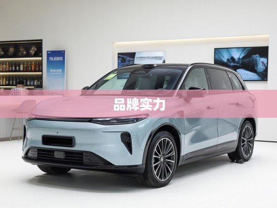 深度揭秘，零跑汽车母公司背景及实力解析，探寻品牌背后强大支撑！