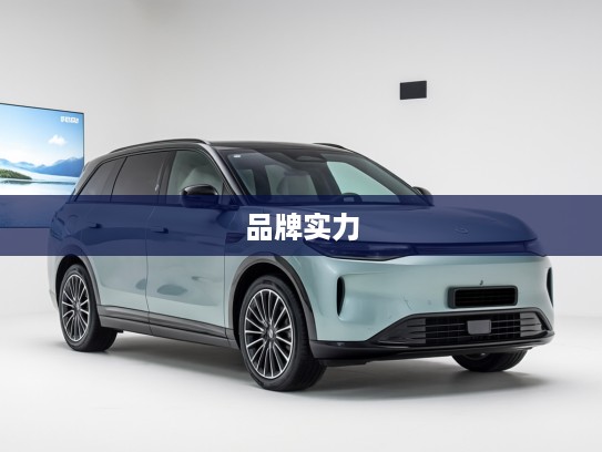 深度揭秘，零跑汽车母公司背景及实力解析，探寻品牌背后强大支撑！