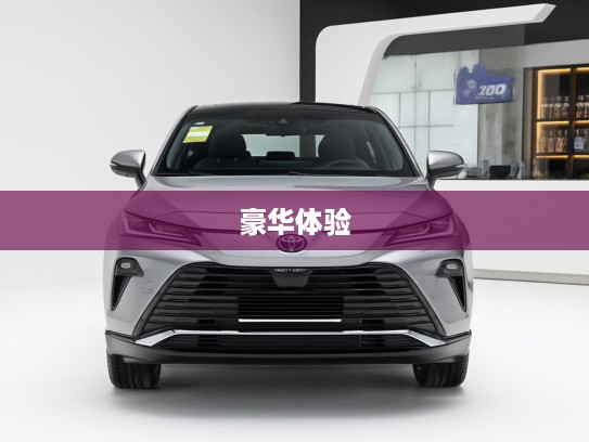 深度评测，2025款丰田威飒豪华驾乘体验，探索未来潮流细节解析