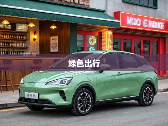 5万预算内新能源车导购，绿色出行新潮流，5万以下车型全面解析引领未来驾驶风尚