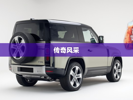 2025款路虎卫士评测，穿越时光守护者，重温传奇风采评测报告