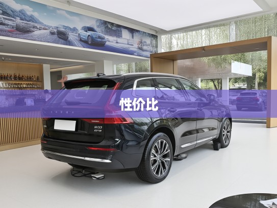 2025款沃尔沃XC60豪华性价比揭秘，深度报价解析及市场行情分析