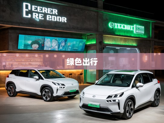 30万级新能源车型深度测评，开启绿色出行新纪元，探索30万左右新能源汽车奥秘