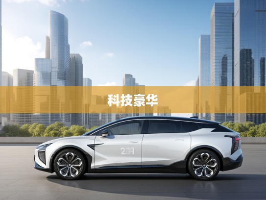2025款高合HiPhi X，科技豪华双料融合，引领智能出行新时代体验！