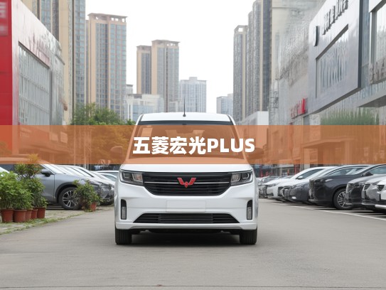 2020款五菱宏光PLUS，家用商用全能之选，引领汽车新潮流购车指南
