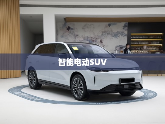 零跑C11改款评测，颠覆式设计，引领智能电动SUV市场潮流解析