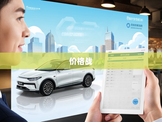 新能源汽车市场风云录，揭秘前十名品牌价格战及最新报价动态
