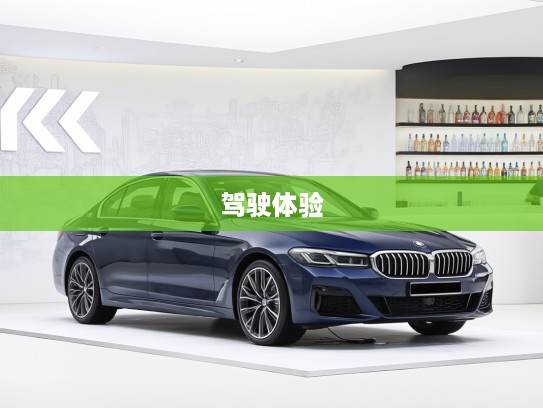 宝马5系深度评测，豪华舒适与动感驾驭的完美平衡，究竟值不值得入手？