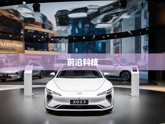 2025年新能源车型盘点，展望未来汽车盛宴，抢先体验前沿科技车型揭秘！
