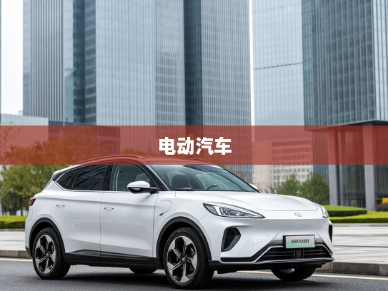 八万内电动汽车新旗舰，定义新标杆的卓越品质与性能之选