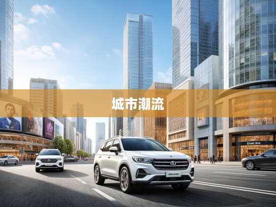 Van宝路新款车型评测，焕新出发，尽享城市出行新潮流体验