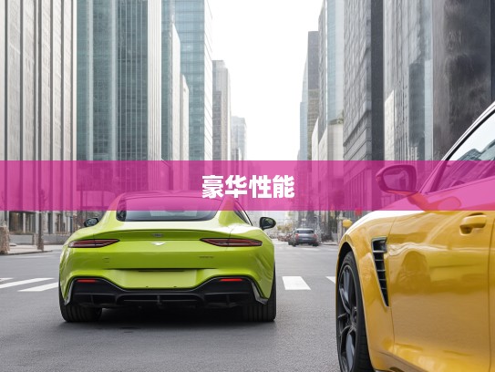 V8 Vantage巅峰驾驭，揭秘豪华性能艺术之旅的尊贵座驾体验