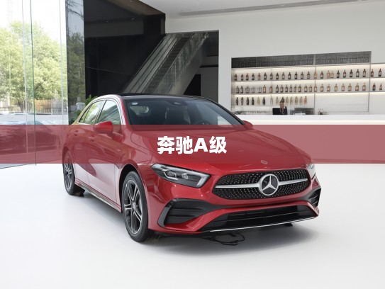 奔驰A级2025款深度评测，奢华升级，驾驭时尚潮流的全新驾驶体验解析