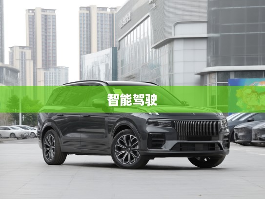 领克09新能源2021款，绿色出行领航者，智能驾驶开启未来新篇章