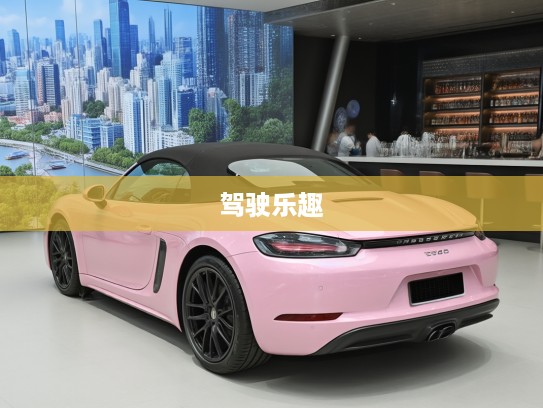 2025款保时捷718激情驾驭体验，前瞻科技，未来启程，尽享极致驾驶乐趣