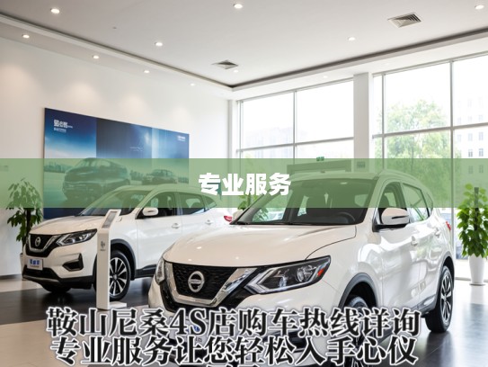 鞍山尼桑4S店购车热线详询，专业服务让您轻松入手心仪尼桑