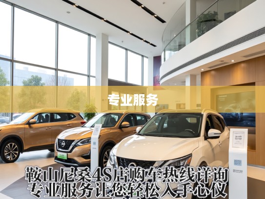 鞍山尼桑4S店购车热线详询，专业服务让您轻松入手心仪尼桑