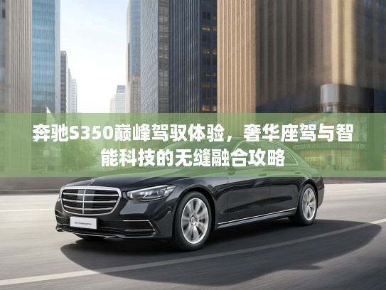奔驰S350巅峰驾驭体验，奢华座驾与智能科技的无缝融合攻略