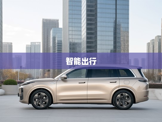 2025款理想L8汽车评测，全面解析价格优势与时尚风采，引领智能出行新潮流
