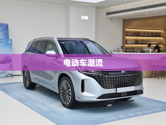 蓝电E5 2025款评测，科技舒适新高度，领跑电动车潮流体验