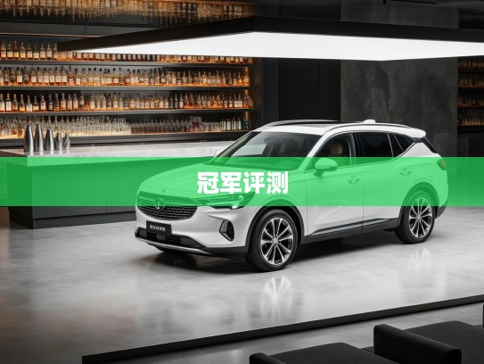 2025年度最佳油电混动SUV冠军车型深度评测，市场翘楚全面解析