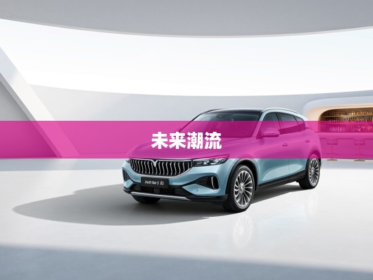 2025款岚图追光新锐解析，智能科技之光，引领未来出行潮流全解析