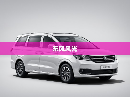东风风光2021款本网站0评测，新年风采尽显，时尚实用两不误