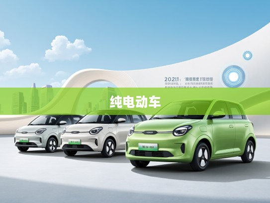 2025年绿色出行新趋势盘点，纯电动车排名前十，领跑新能源汽车行业风采大赏
