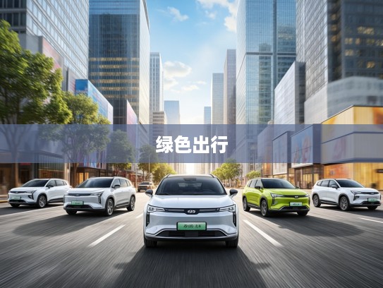 2025年度最佳纯电动车盘点，引领绿色出行革命，2025公认车型推荐攻略