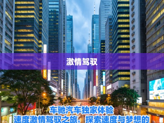 车驰汽车独家体验，速度激情驾驭之旅，探索速度与梦想的交融点