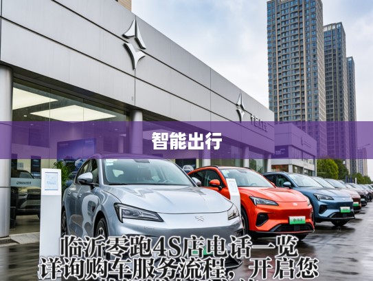 临沂零跑4S店电话一览，详询购车服务流程，开启您的智能出行之旅
