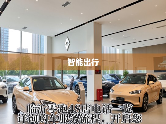 临沂零跑4S店电话一览，详询购车服务流程，开启您的智能出行之旅