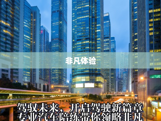 驾驭未来，开启驾驶新篇章，专业汽车陪练带你领略非凡驾驶体验！