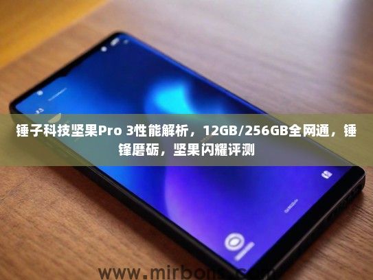锤子科技坚果Pro 3性能解析，12GB/256GB全网通，锤锋磨砺，坚果闪耀评测