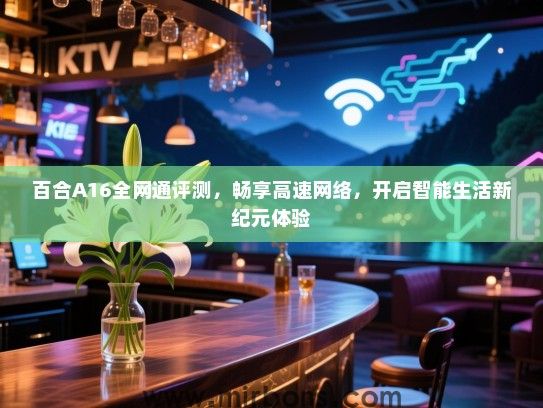 百合A16全网通评测，畅享高速网络，开启智能生活新纪元体验