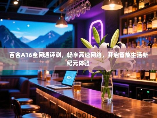 百合A16全网通评测，畅享高速网络，开启智能生活新纪元体验