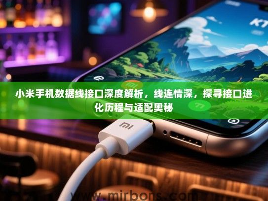 小米手机数据线接口深度解析，线连情深，探寻接口进化历程与适配奥秘