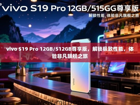 vivo S19 Pro 12GB/512GB尊享版，解锁极致性能，体验非凡旗舰之旅