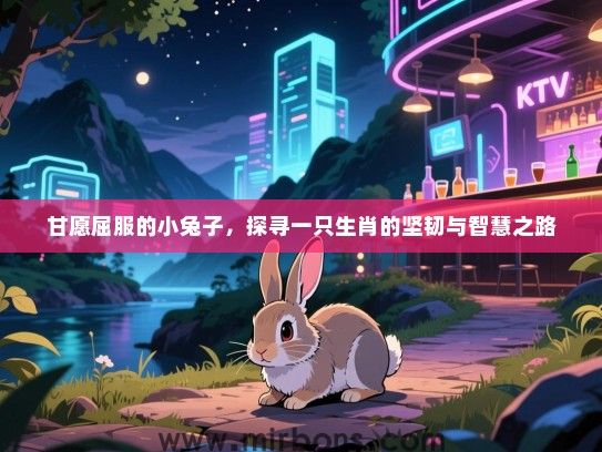 甘愿屈服的小兔子，探寻一只生肖的坚韧与智慧之路