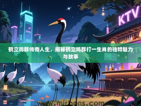 鹤立鸡群传奇人生，揭秘鹤立鸡群打一生肖的独特魅力与故事