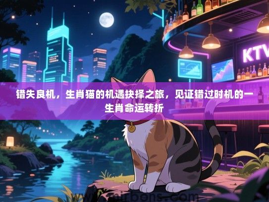 错失良机，生肖猫的机遇抉择之旅，见证错过时机的一生肖命运转折
