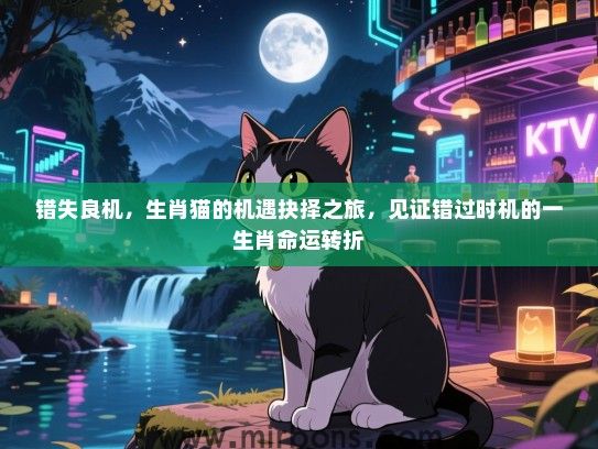错失良机，生肖猫的机遇抉择之旅，见证错过时机的一生肖命运转折
