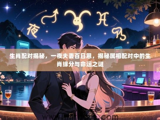 生肖配对揭秘,一夜夫妻百日恩,揭秘属相配对中的生肖缘分与命运之谜 生肖配对揭秘,一夜夫妻百日恩,揭秘属相配对中的生肖缘分与命运之谜