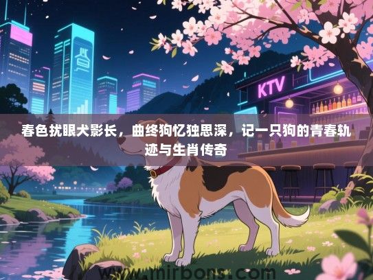 春色扰眼犬影长,曲终狗忆独思深,记一只狗的青春轨迹与生肖传奇 春色扰眼犬影长,曲终狗忆独思深,记一只狗的青春轨迹与生肖传奇
