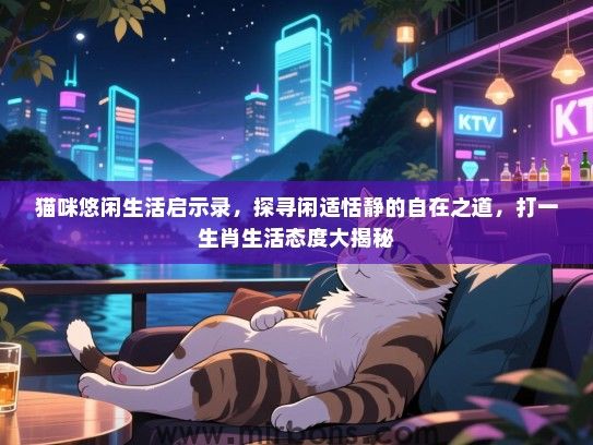 猫咪悠闲生活启示录，探寻闲适恬静的自在之道，打一生肖生活态度大揭秘